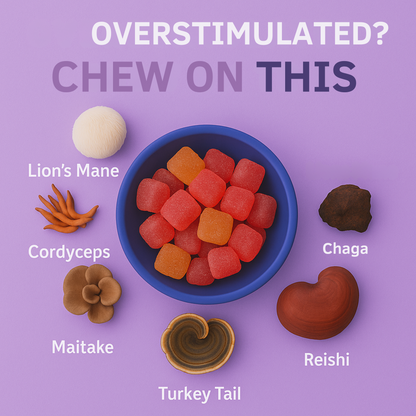 Organic & Functional Mushroom Gummies